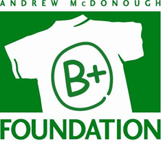 B+ Foundation