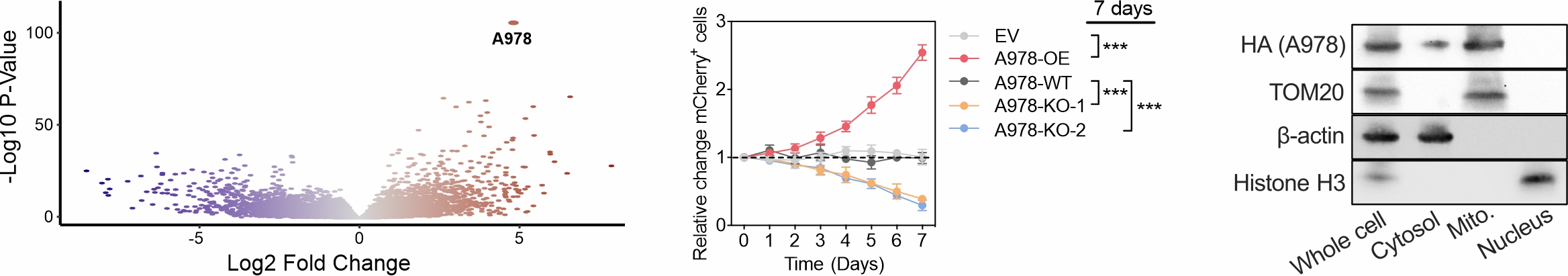 Figure for A978 in High-Risk B-ALL
