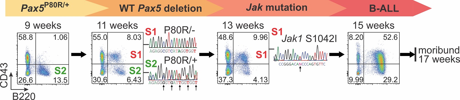 Figure for PAX5 B-ALL Subtypes